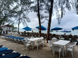 Tortugas Snorkel Center and Beach Bar