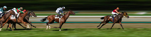 Hipódromo de las Américas Horse Racing