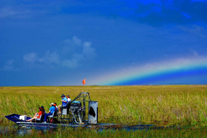 1 Hour Everglades River of Grass Small Airboat Tour