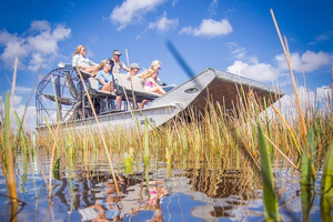 Airboat Tour of the Everglades National Park