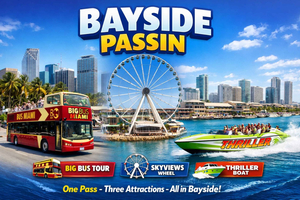 karnet Bayside Marketplace z 3 atrakcjami