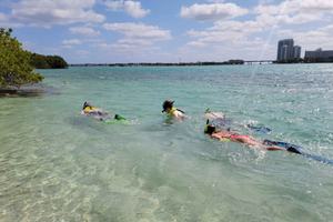 Beginner-Friendly Island Snorkeling by SUP or Kayak