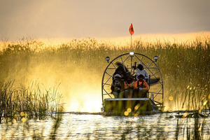Everglades Airboat Adventure Tour + Biscayne