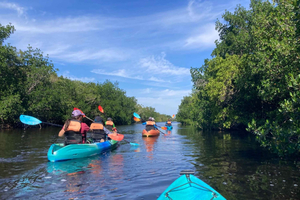 Everglades National Park Kayaking & Hiking Tour