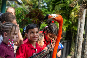 Fort Lauderdale: Ingresso de entrada para o Flamingo Gardens