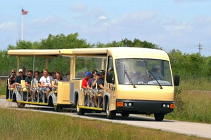 From Miami - Everglades Nature and Wildlife Tram Adventure