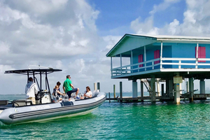 Tour en barco guiado en grupo reducido + Iconic Stiltsville