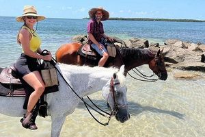 Horse Riding Tour at the Beach in Miami