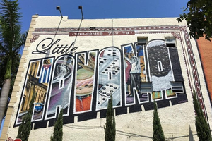 Little Havana: Authentic Food and Culture Walking Tour