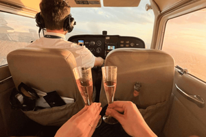 Miami Beach: Tour privado de lujo en avión con champán