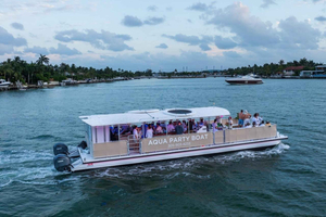 Miami Floating Happy Hour Cruise: Skyline & River Views
