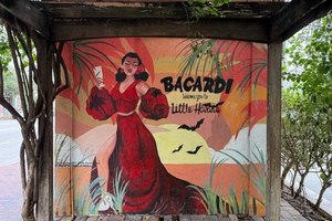 Miami, Little Havana, Everglades National Park Small Group Tour