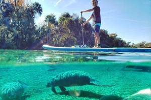 North Nature & Island Exploration on SUP/Kayak