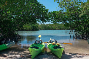 Oleta River State Park Guided Eco Tour Paddle
