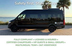 Private Door-to-Door Transfer: Airport, Port & Hotels in Miami