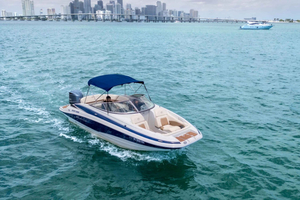 Tour privato dell'isola delle stelle, dello skyline di Miami e del fiume Miami