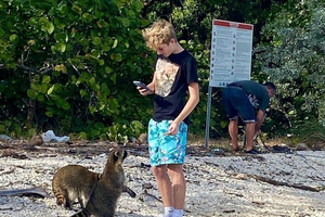 Raccoon, Mangroves & Sandbar Adventure, Water Toys & Snorkel Boat