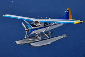 Seaplane Skyline and Beaches Tour