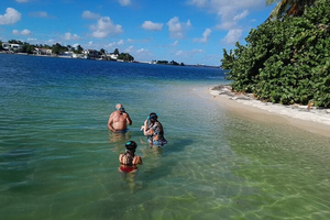 Snorkel adventure & Sandbar Trip