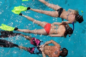 Snorkeling Adventure Small Group from Miami