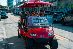Wynwood Walls Entry and Neighborhood Buggy Experience