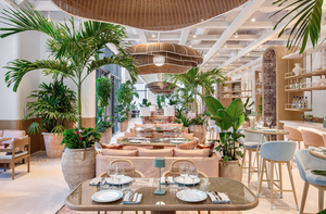 Amal Miami