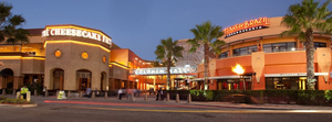 Dolphin Mall