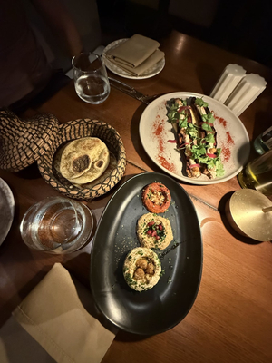 Felina Miami