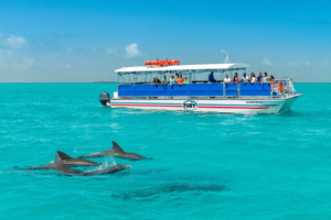 Depuis Miami : excursion à Key West avec observation des dauphins ou plongée