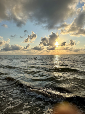 Grand Bay Beach