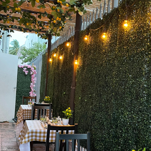 Limoncello Miami beach