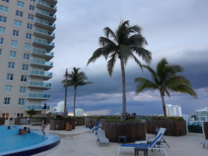 Luxurious Apts in Brickell