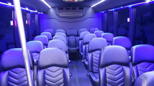 Luxury Bus Miami
