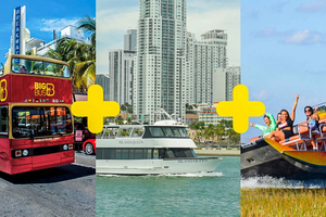 Miami : Everglades, croisière et visite en bus à toit ouvert