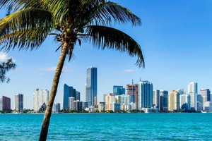 Miami : visite guidée de la ville et promenade en bateau