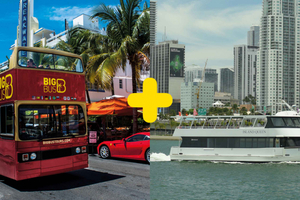 tour de medio día en autobús descapotable más crucero por la bahía de Biscayne