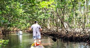 Natur Stand Up Paddle Boarding-upplevelse