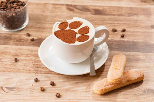 Merienda y tentempié con los gatos en el Crazy Cat Café, con dulce y bebida incluidos