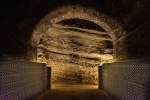 Barolo Vineyards & UNESCO Wine Cathedral Experience