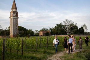 Native Venice Wine Experience Tour and Tasting