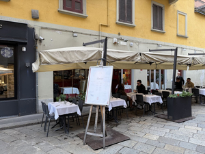 Bacco di Brera