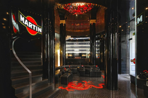 DG Martini ®