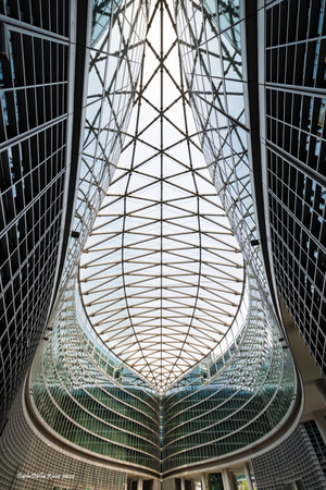 Nuovo Palazzo della Regione