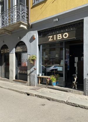 Zibo - Campo Base