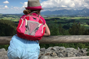 Peter’s Allgäu Tour: Castle Ruins & Alpine Pasture Stop / max. 6 people