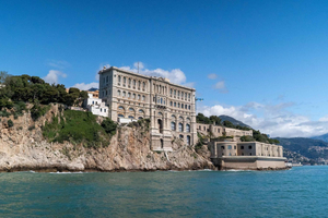 Sightseeing Boat Cruise