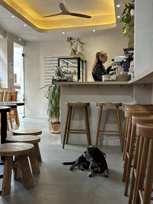 Chez Marcel
