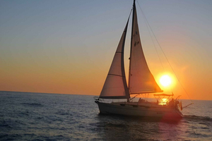 Bari: Half-Day Dolphin-Searching Sailboat Cruise with Snack