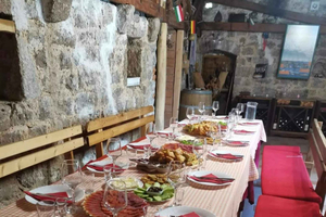 Repas fait maison et dégustation de vins dans un ancien domaine près de Virpazar