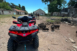 Cattaro: visita al forte Gorazda e alla fattoria di Goran con quad All-terrain vehicle